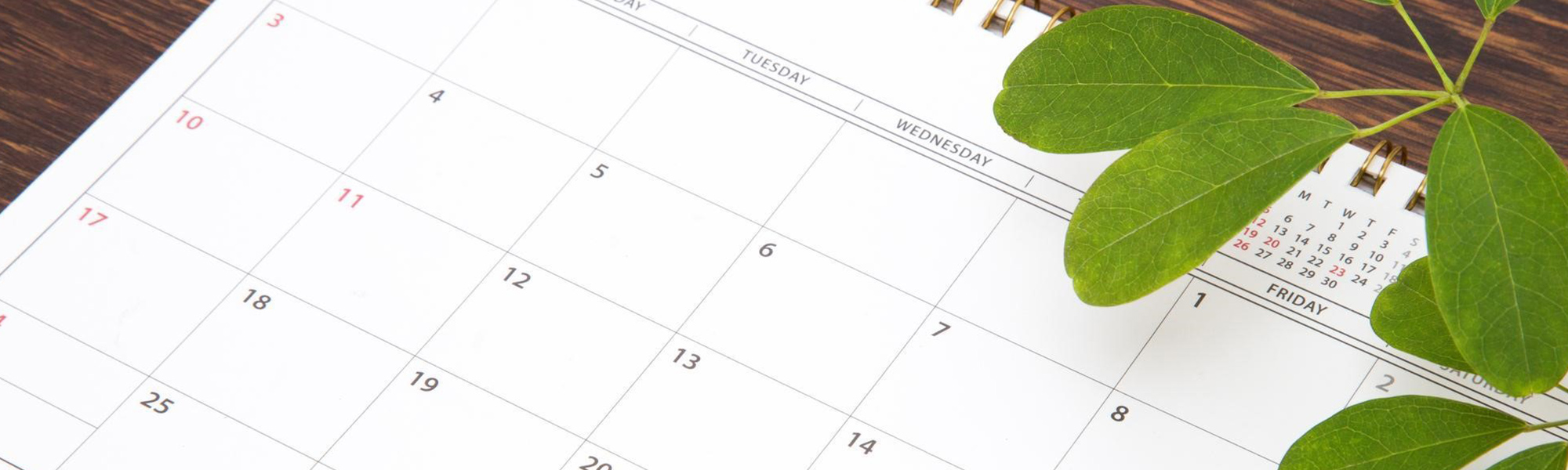企業カレンダーを選ぶ際のデザイン選びのポイントは?